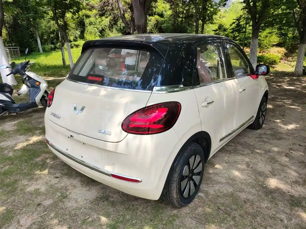 Wuling Binguo 2025 333km Enjoy