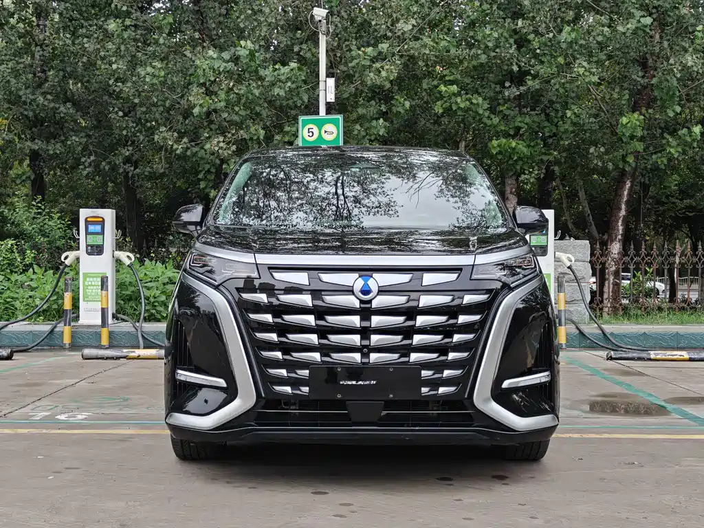 Denza Denza D9 — миниатюра 2