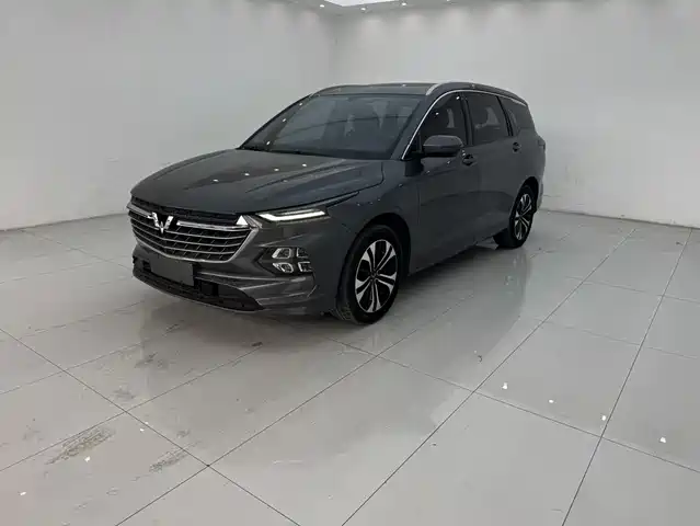 2021 Wuling Motors Victory