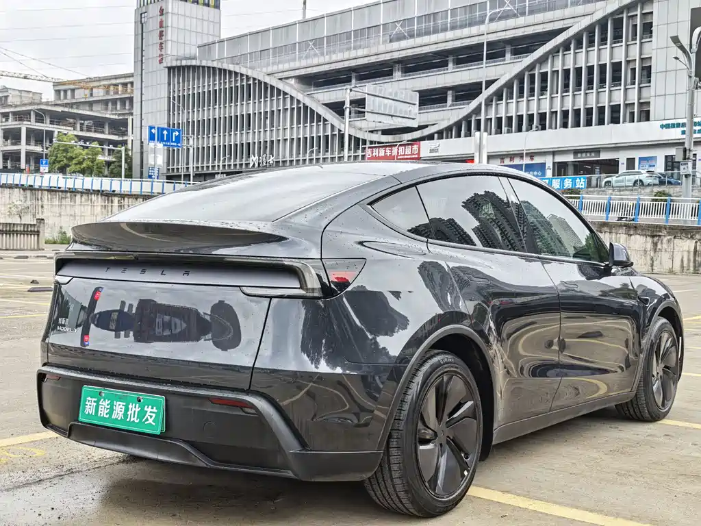 Tesla Model Y — миниатюра 6