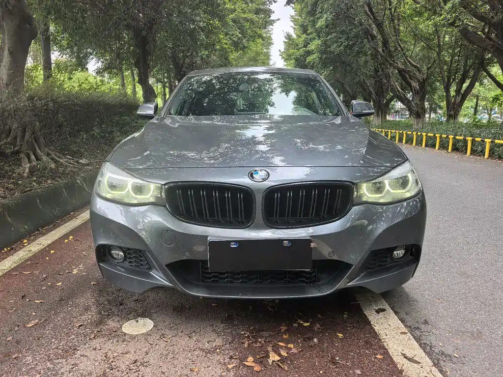 BMW 3 Series GT — миниатюра 2