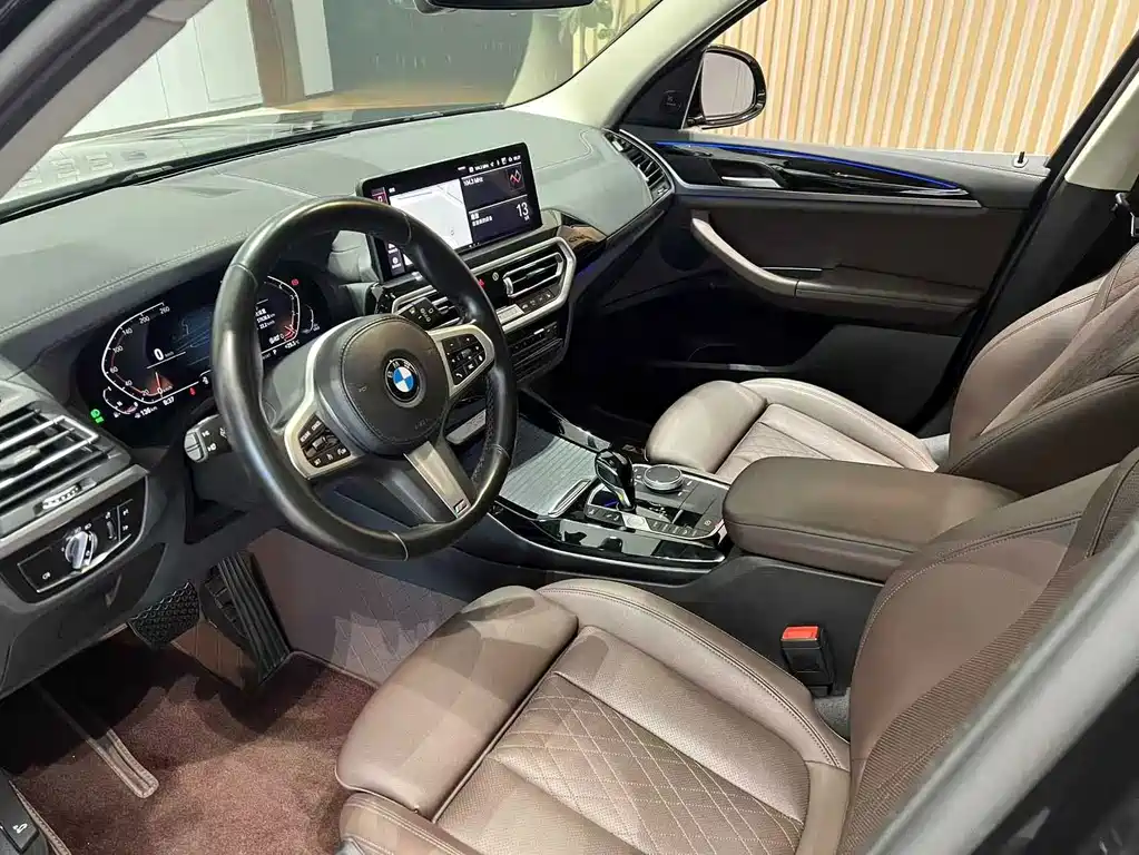 BMW X3 — миниатюра 8
