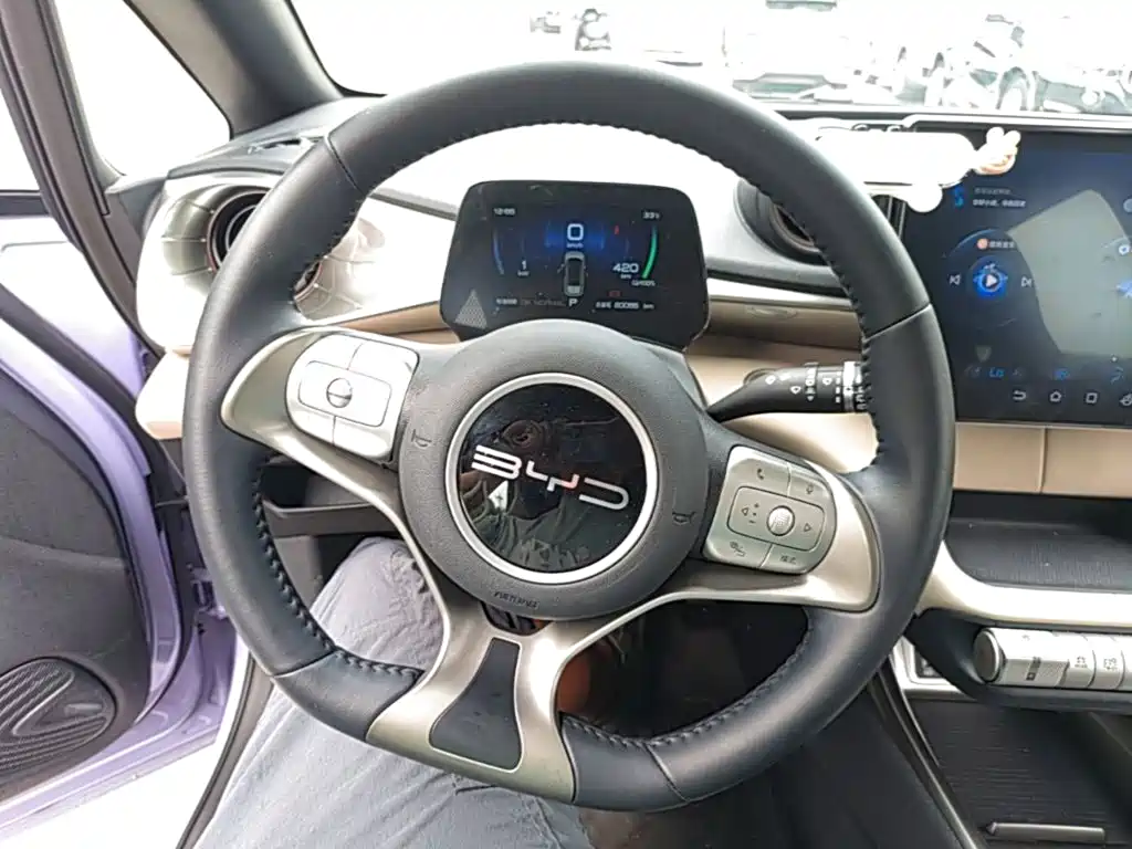 BYD Dolphin — миниатюра 11