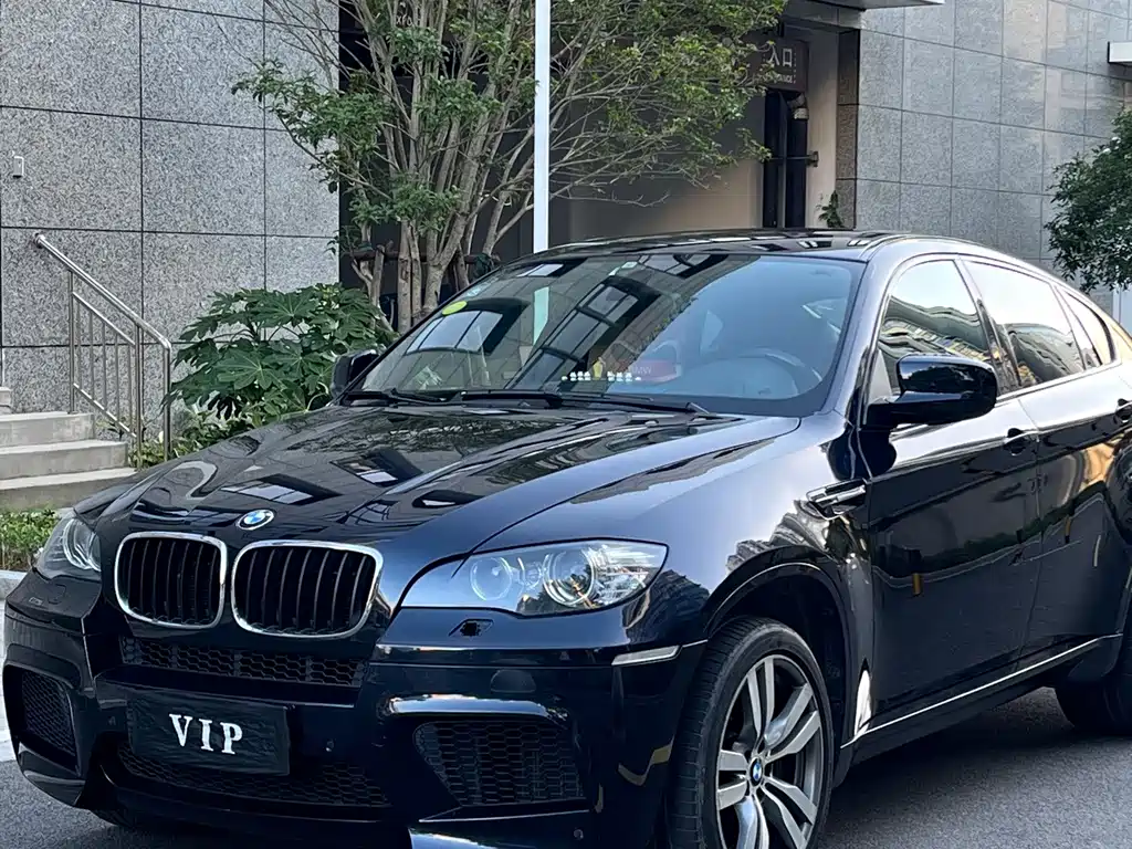 BMW X6 M
