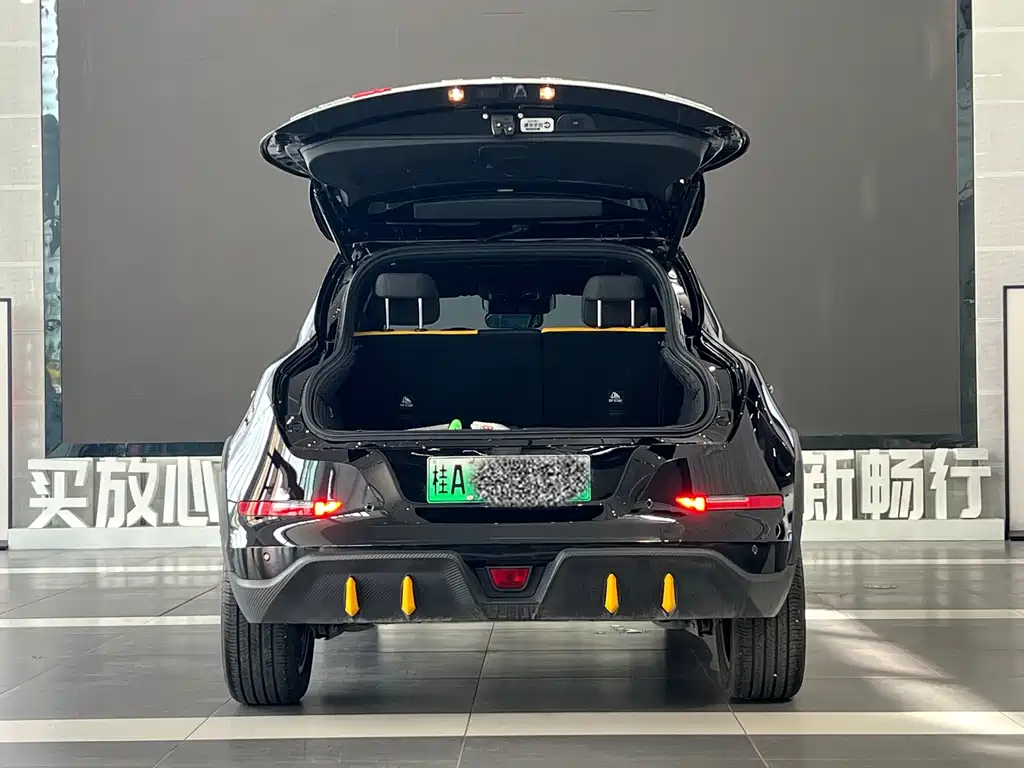 Ora Ora Good Cat GT — миниатюра 24