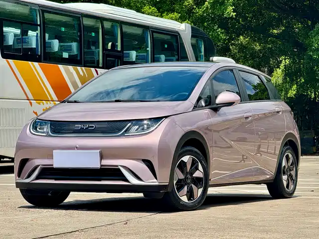 2024 BYD Dolphin
