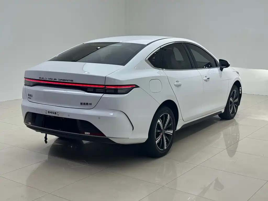 BYD Qin Plus PLUS 2023 Champion DM-i 120KM