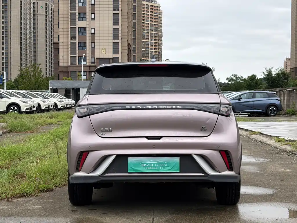 BYD Dolphin — миниатюра 5