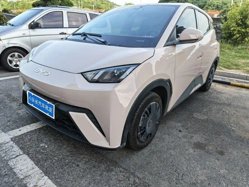 Byd Seagull 2024