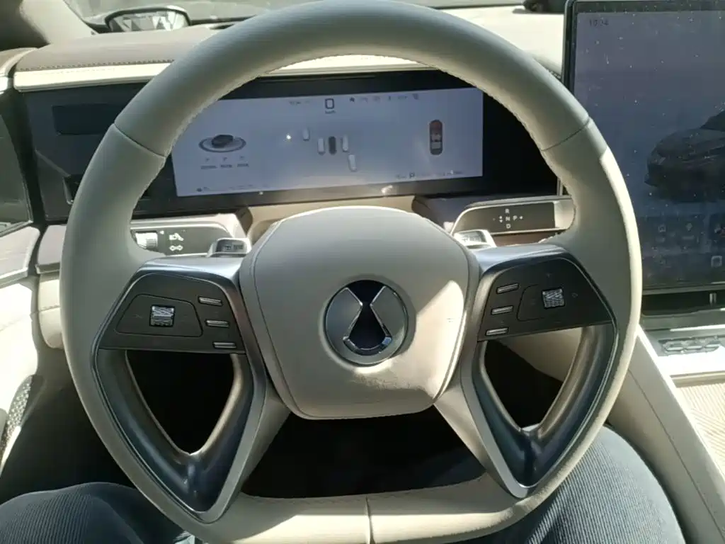 Denza Denza Z9 — миниатюра 11