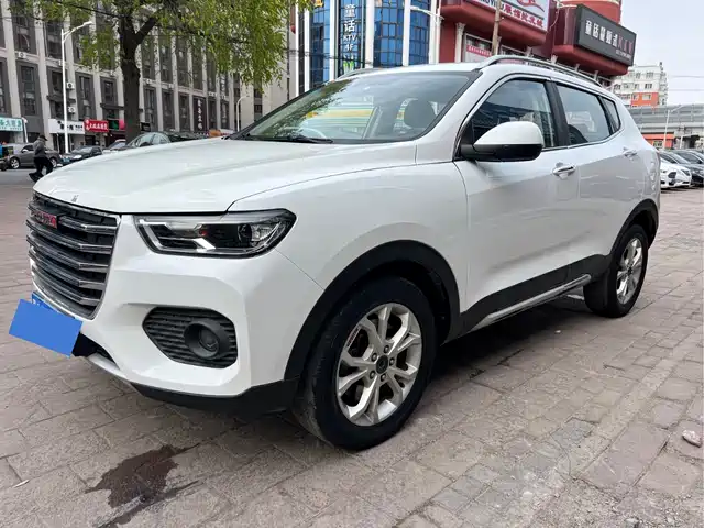 2017 Haval H2