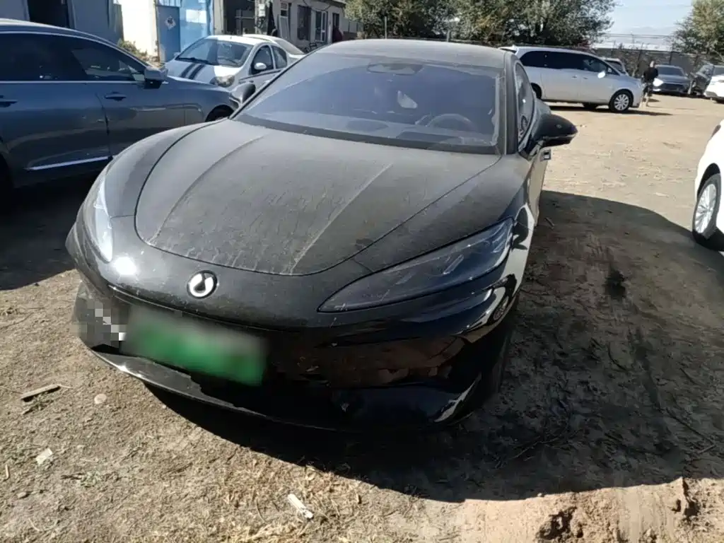 Denza Denza Z9 — миниатюра 2