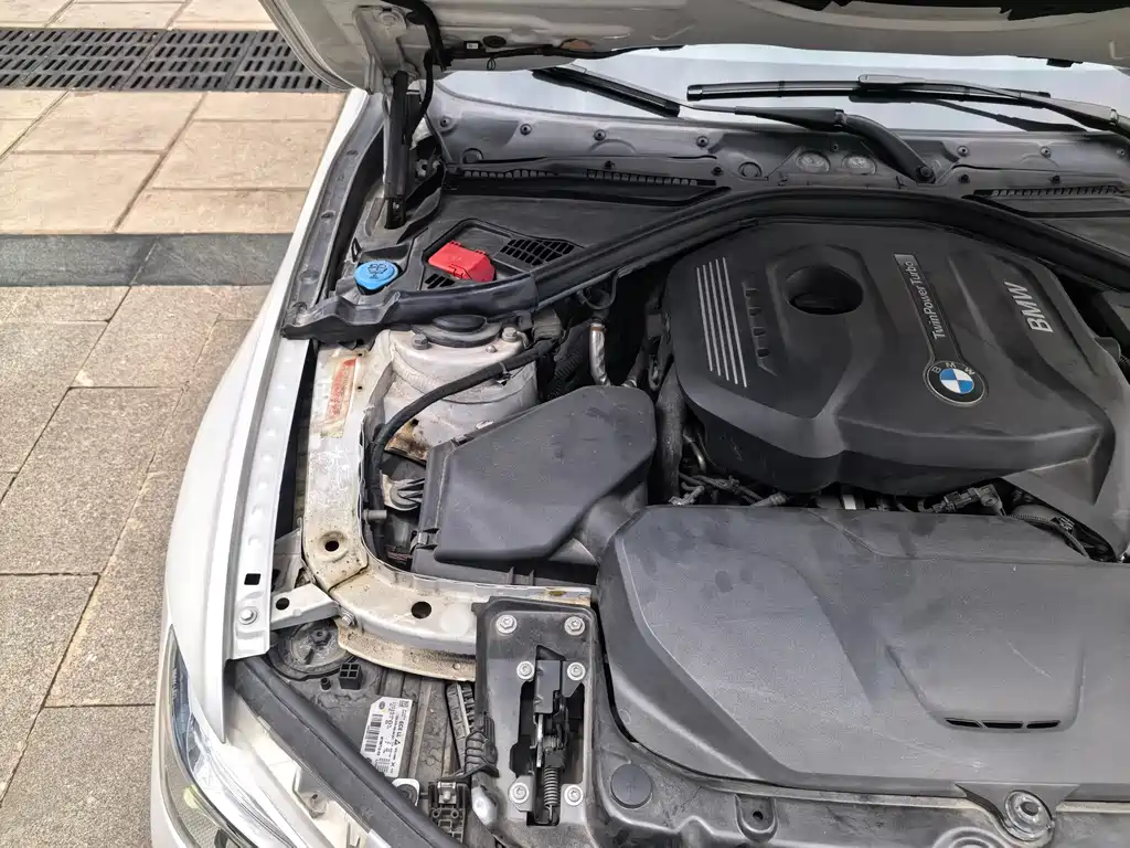 BMW 3 Series 3 2019 320Li Fashion