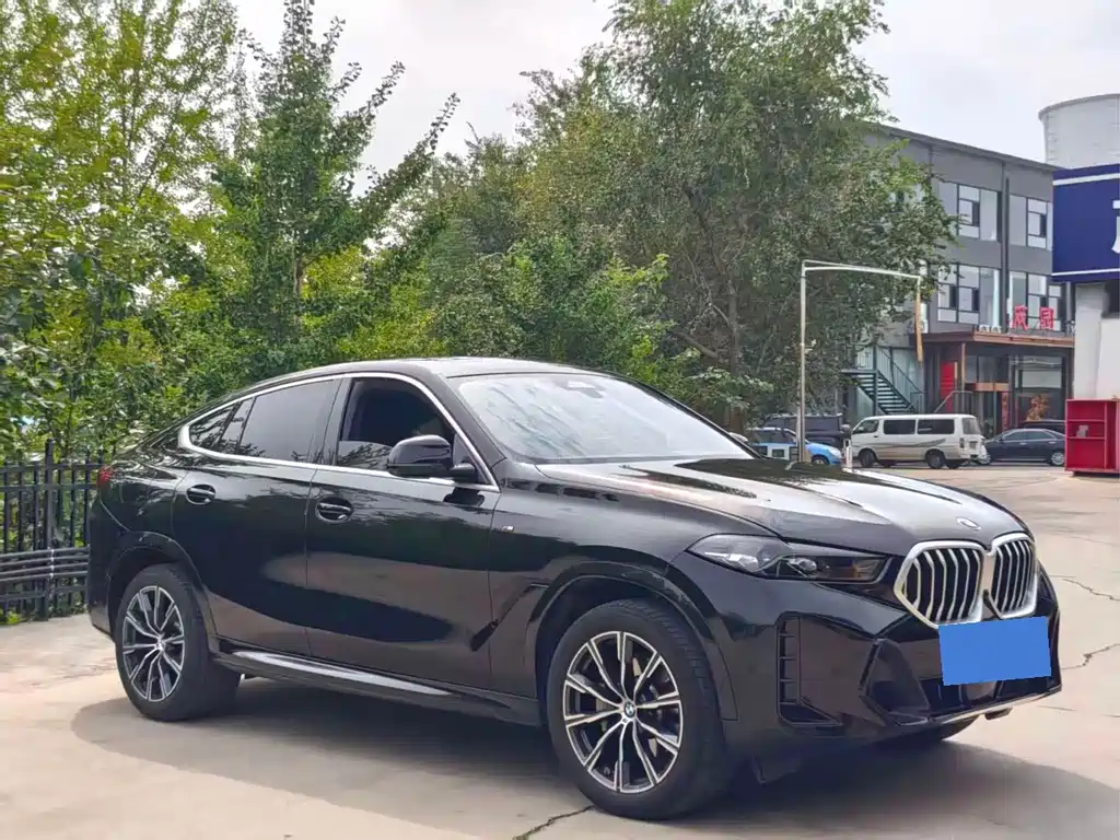 BMW X6 — миниатюра 3