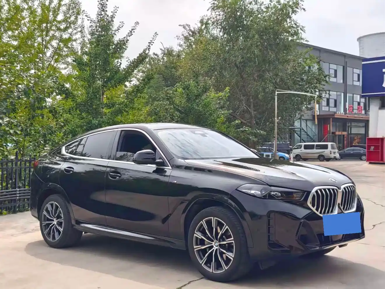 BMW X6