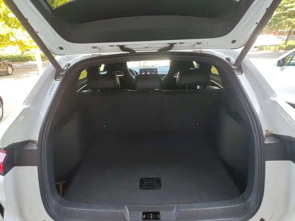BYD PLUS New Energy — миниатюра 19