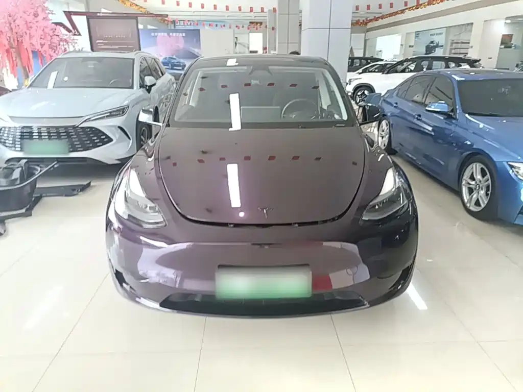Tesla Model Y — миниатюра 3