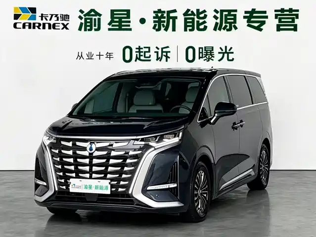 2023 Denza D9