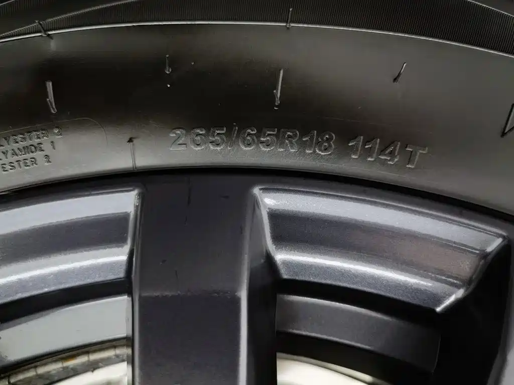 Fang Cheng Bao Leopard 5 — миниатюра 24