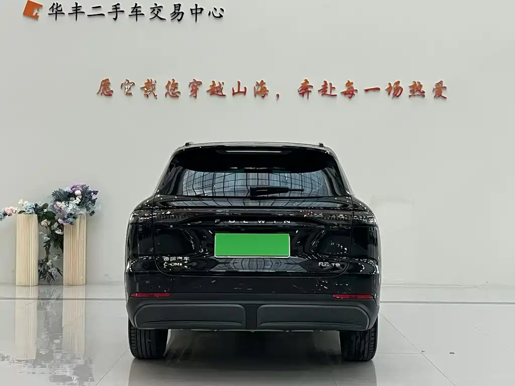 Fulwin Fengyun T9 — миниатюра 8