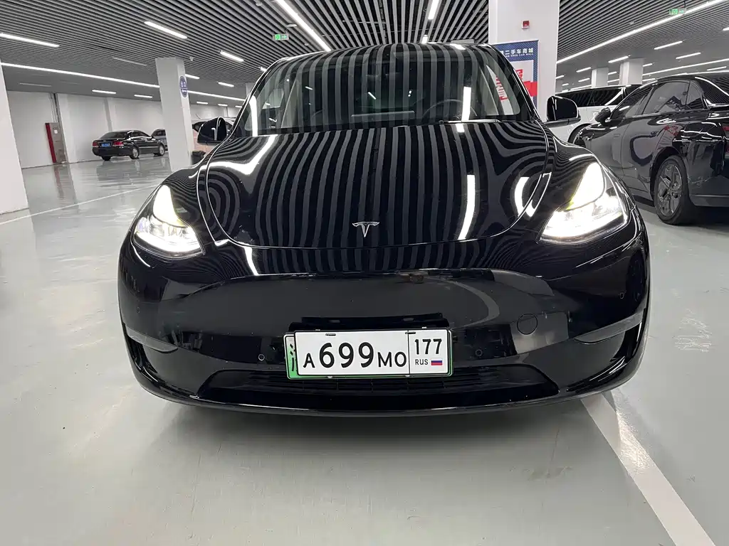Tesla Model Y — миниатюра 2