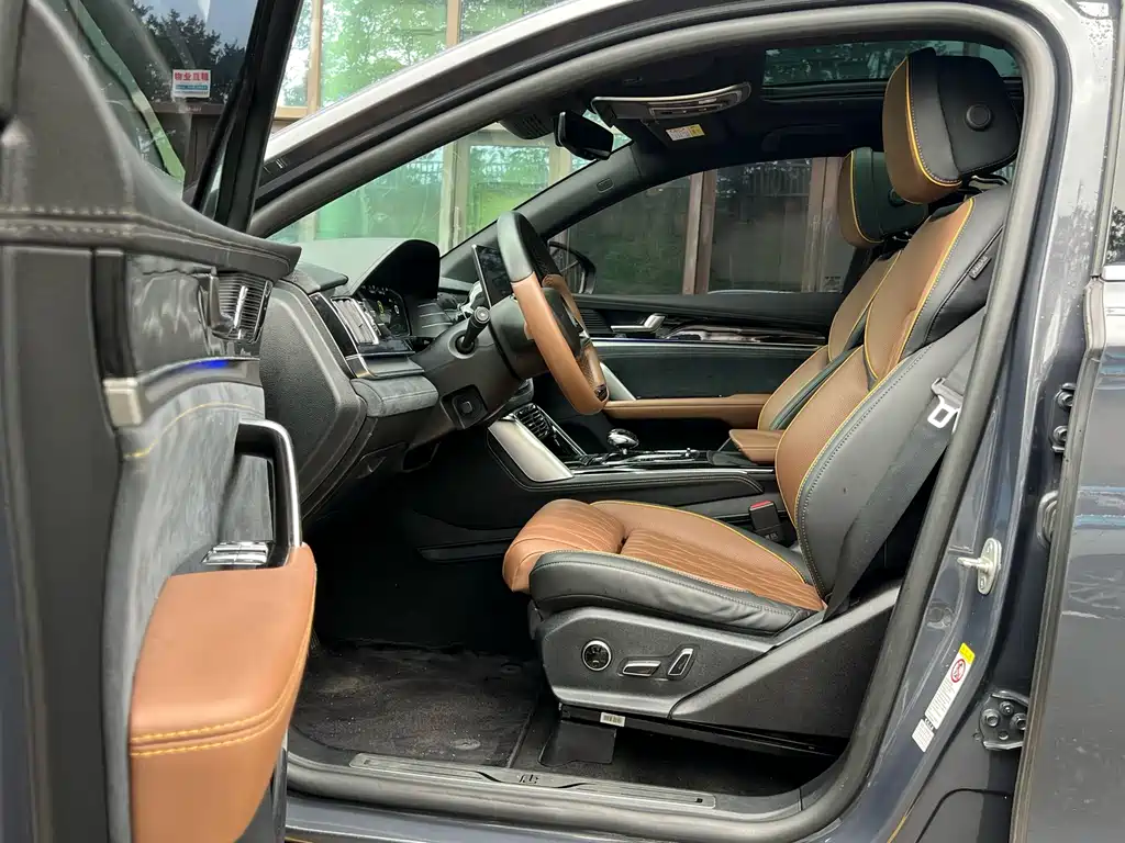 BYD Tang New Energy — миниатюра 10