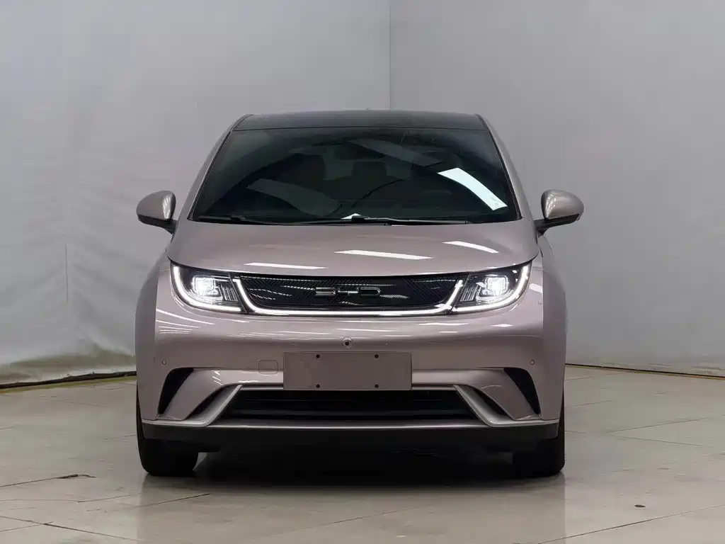 BYD Dolphin — миниатюра 2