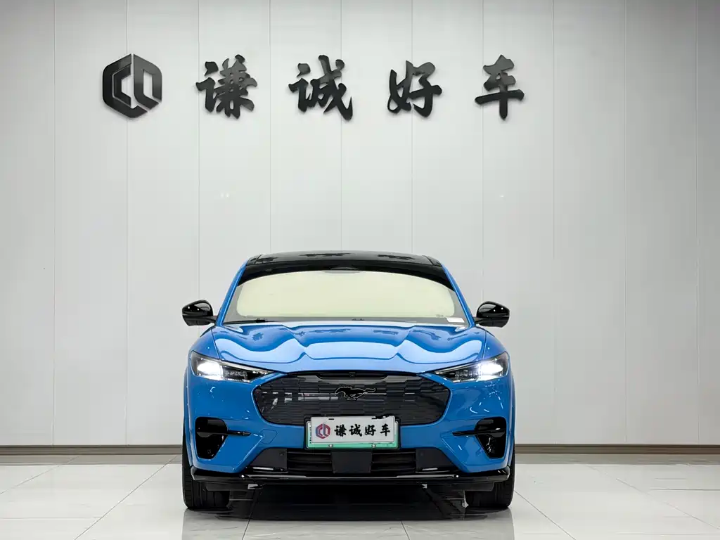 Ford Mustang Mach-E — миниатюра 2