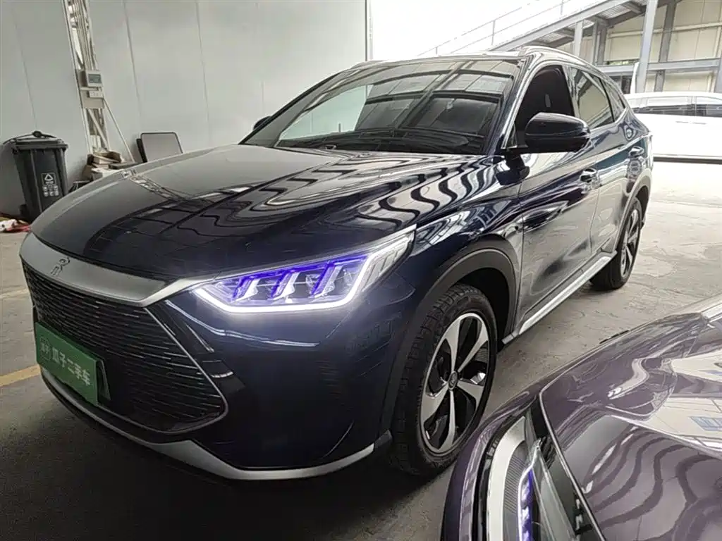 Byd Pro New Energy 2023