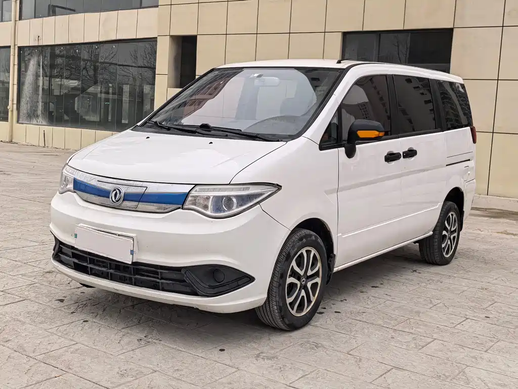 DONGFENG SHUAIKE NEW ENERGY