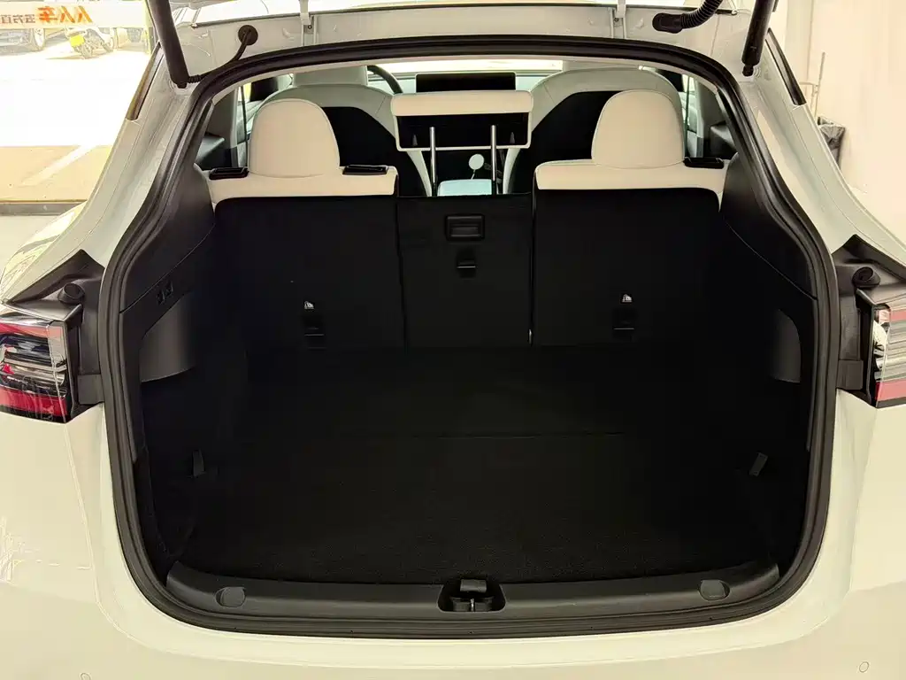 Tesla Model Y — миниатюра 18