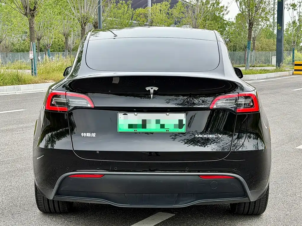 Tesla Model Y — миниатюра 4