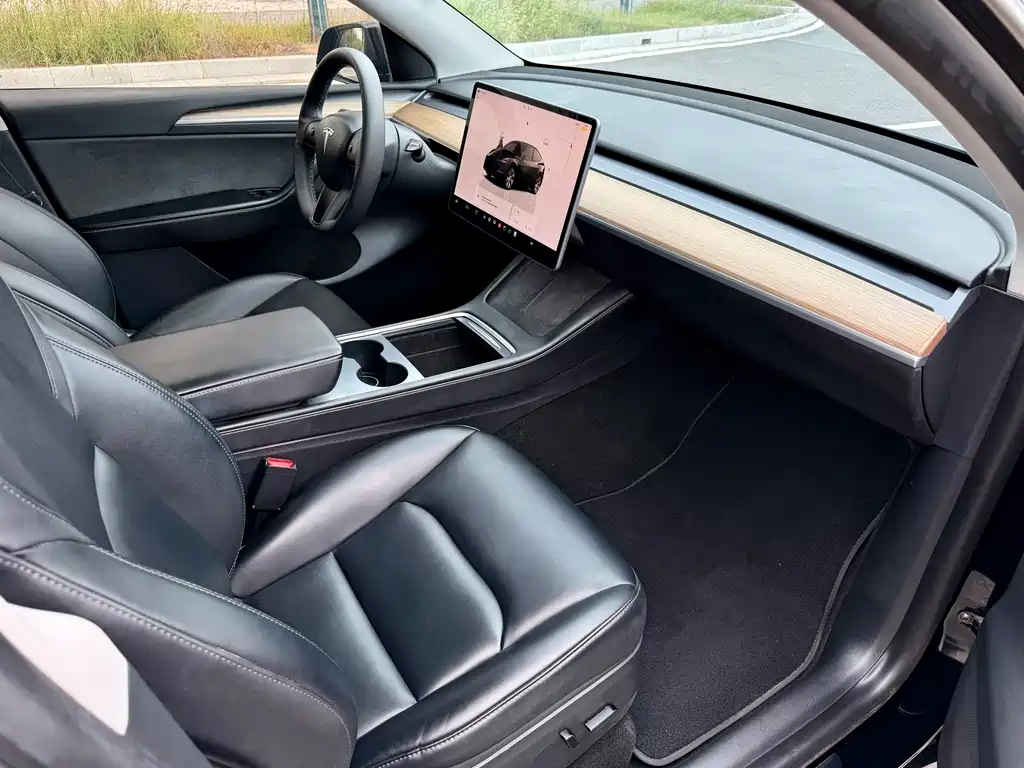 Tesla Model Y — миниатюра 11