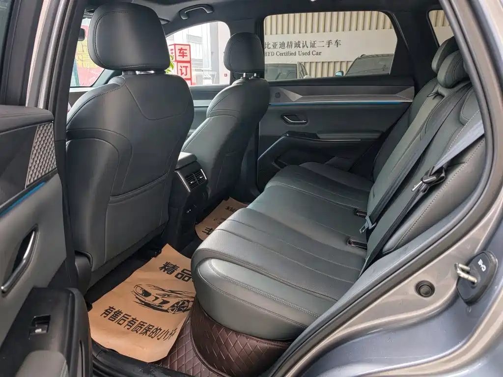 BYD Pro New Energy — миниатюра 10