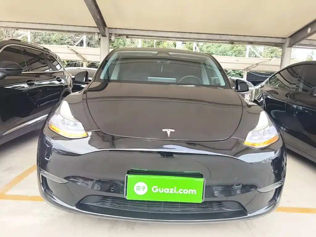 Tesla Model Y — миниатюра 3