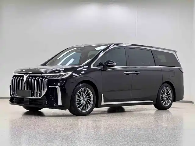 2022 Voyah Dream