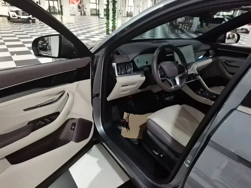 BYD PLUS New Energy — миниатюра 16