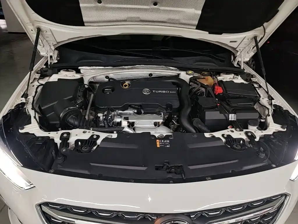 Buick Regal — миниатюра 20