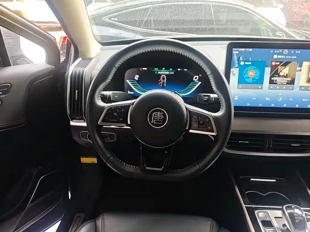 BYD Tang New Energy — миниатюра 11