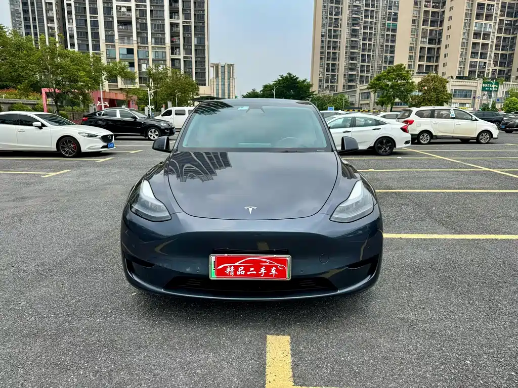 Tesla Model Y — миниатюра 2