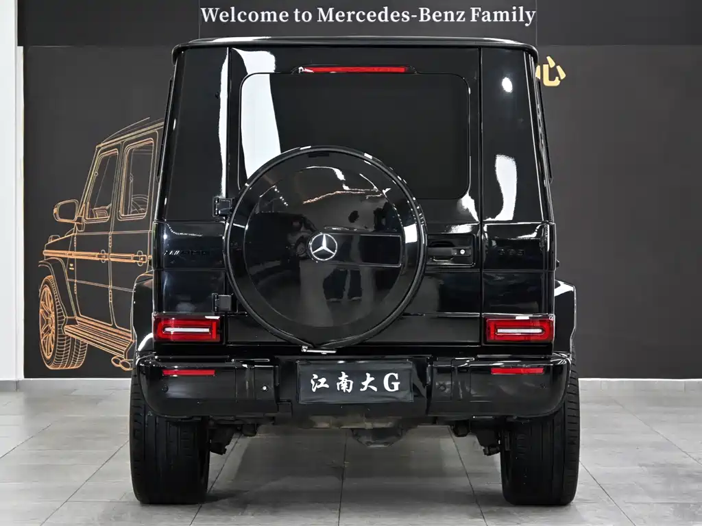 Mercedes-Benz G-Class G 2010 G 500