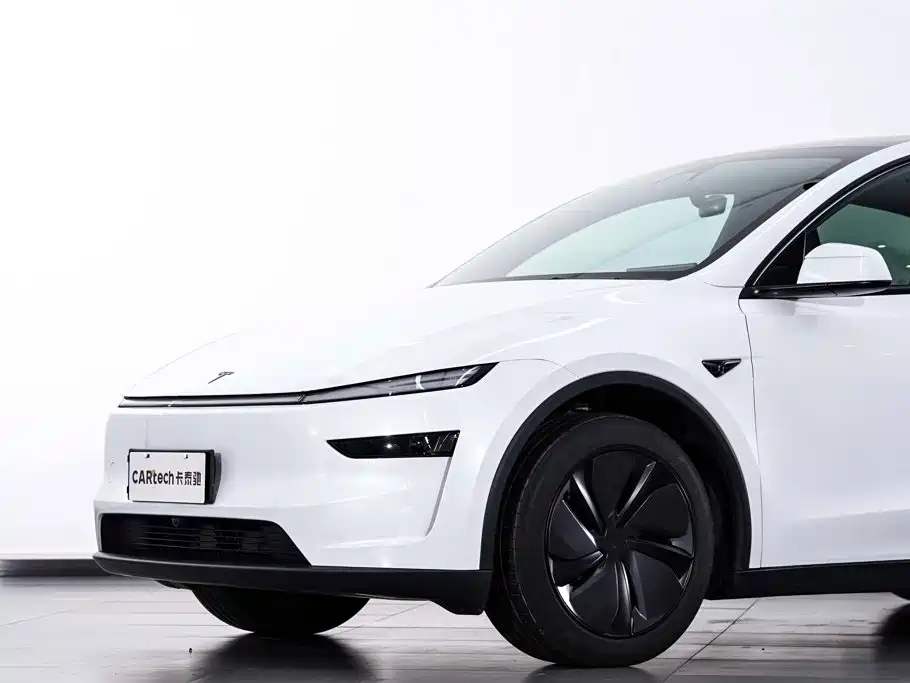 Tesla Model Y — миниатюра 5
