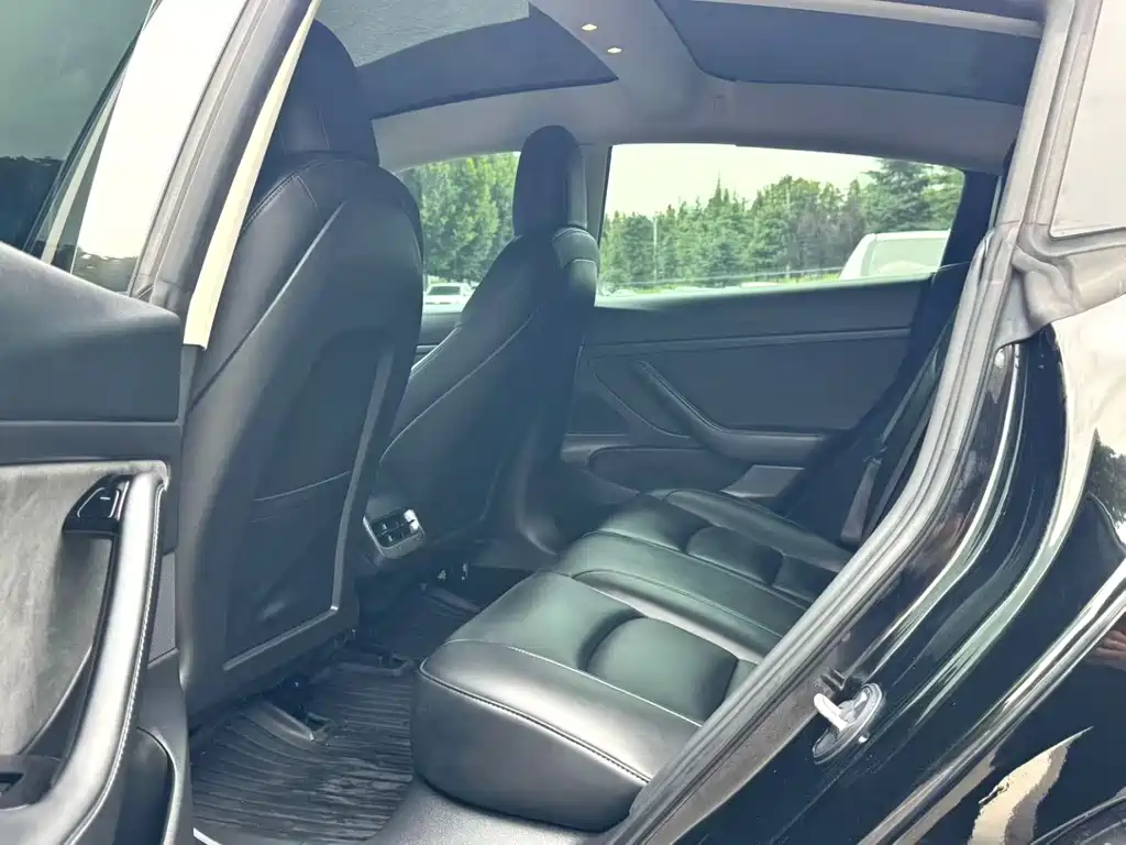 Tesla Model 3 — миниатюра 6