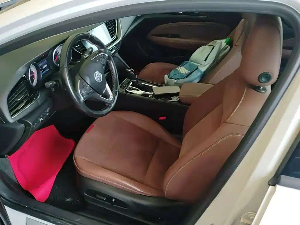 Buick Regal — миниатюра 15