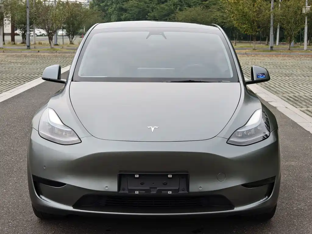 Tesla Model Y — миниатюра 2