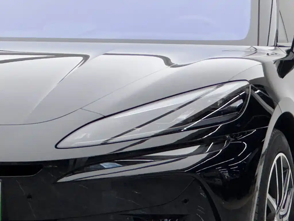 Denza Denza Z9GT — миниатюра 3