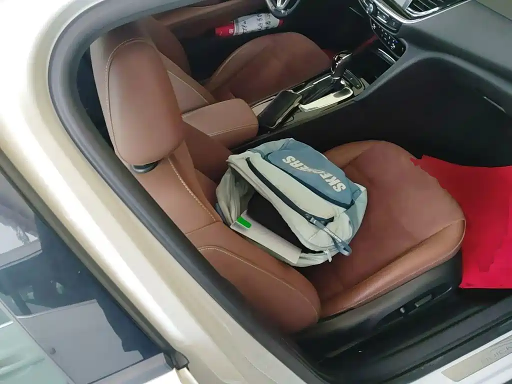 Buick Regal — миниатюра 25