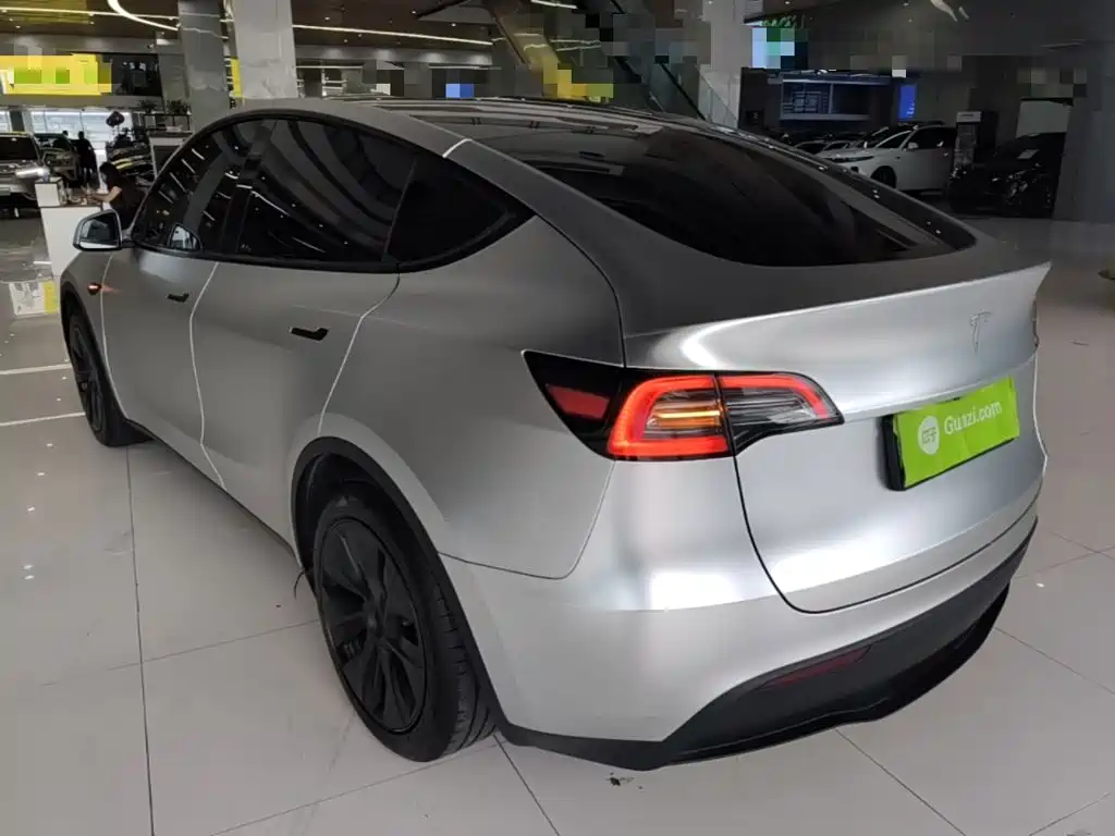 Tesla Model Y — миниатюра 5