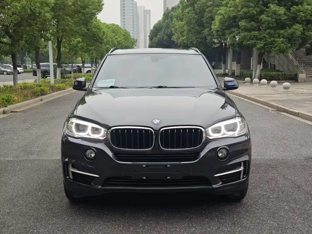 BMW X5 (Import) — миниатюра 2