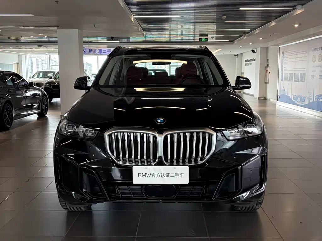 BMW X5 — миниатюра 2
